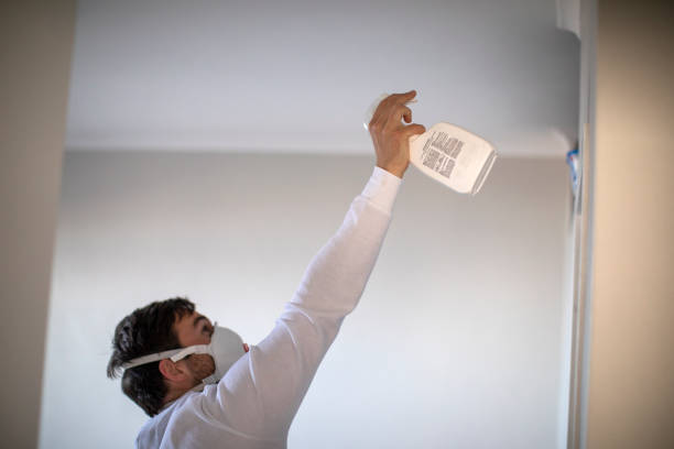 Best Office Mold Removal Services  in Ranchester, WY