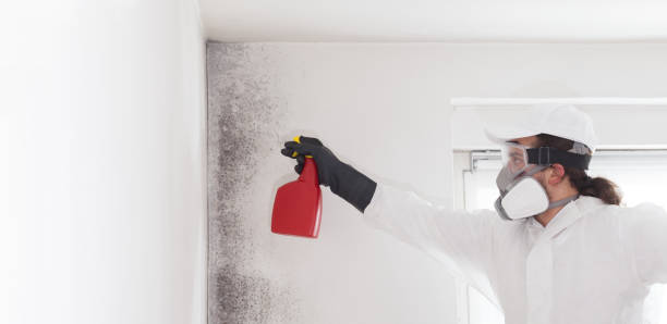 Best Crawl Space Mold Removal  in Ranchester, WY